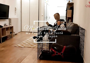 Maitresse Julia - Pawing Femdom - My Virgin Puppy Concomitant Receives his Aggravation Fucked - Dong - Pegging - Cum Humiliation